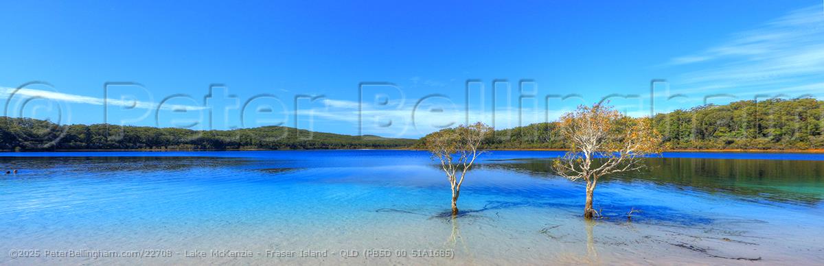 Peter Bellingham Photography Lake McKenzie - Fraser Island - QLD (PB5D 00 51A1685)